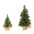 thumbnail image 1 of Creative Mini Burlap Christmas Tree Christmas Day Mall Window Desktop Plant Decoration 20CM or 30CM, 1 of 5
