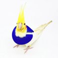 thumbnail image 4 of CBFFDC Bird Restraint Device Adjustable Parrot Recovery Collar Anti Biting Injury Protection Fastener Fixing Bird Collar Pet Bird Accessory, 4 of 7