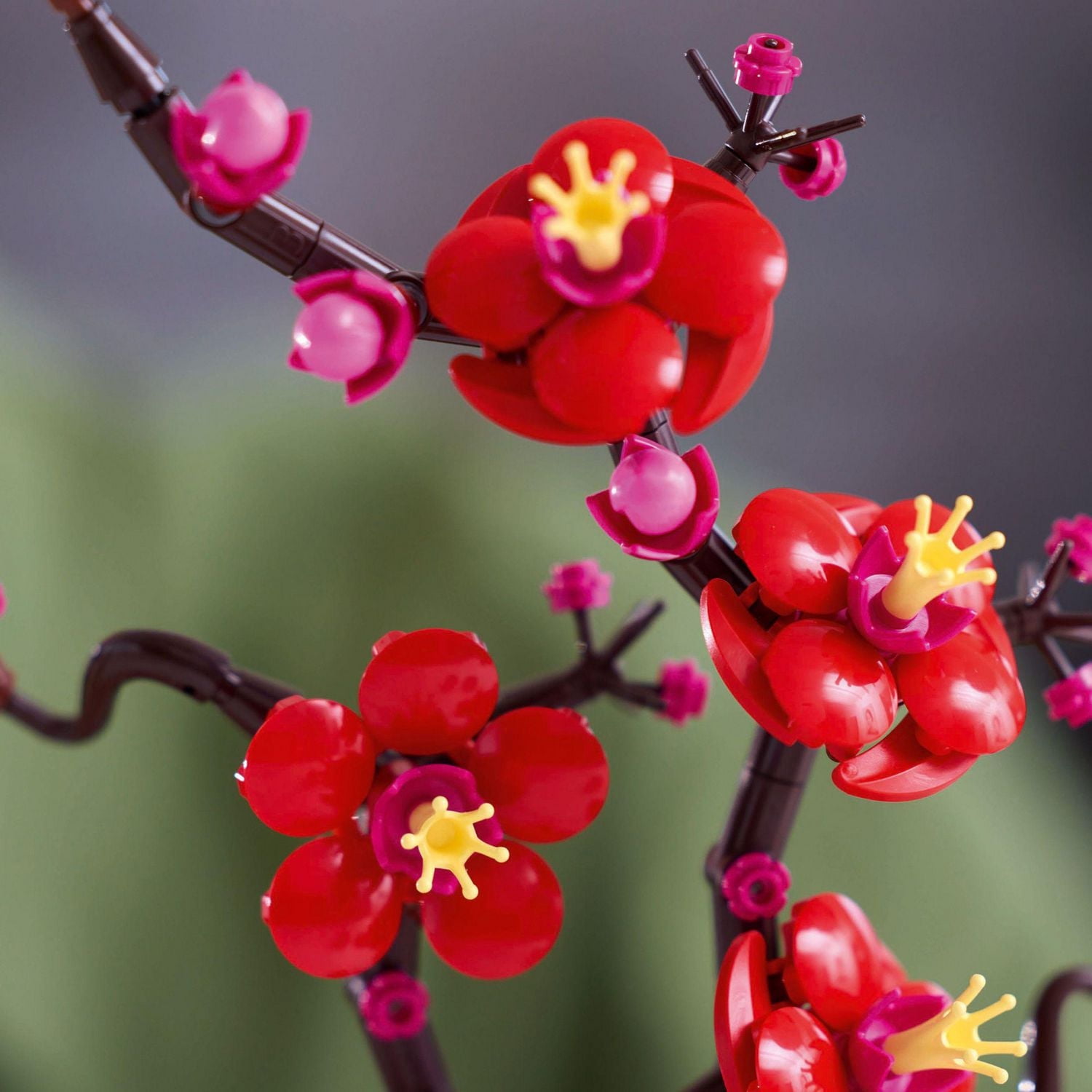 LEGO Botanicals Plum Blossom 10369 Ensemble de construction (327 pièces)