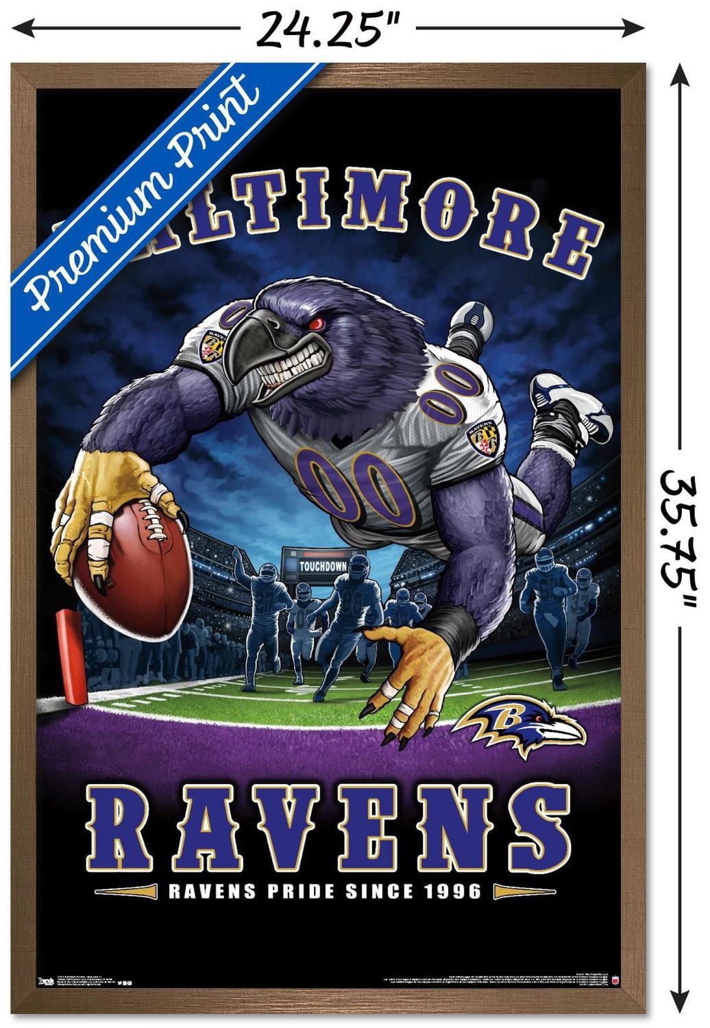 Ravens de Baltimore la NFL