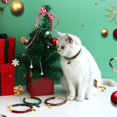 thumbnail image 2 of Collier pour Animaux Super Doux Ajustable Résistant à l'Usure avec Chaîne d'Extension Collier pour Chien Chat avec Cloche Pendentif Décor Fournitures pour Animaux, 2 of 10