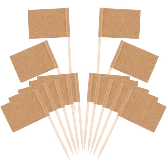 Blank Toothpick Flags, 100 Pcs Writing Craft Paper Food Label for Garden, Hotel, Buffet, Party