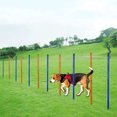 thumbnail image 1 of Octpeak Pet Dog Training, Dog Training Pole, Training Puppy Barrier Rod For Pet Dog, 1 of 8