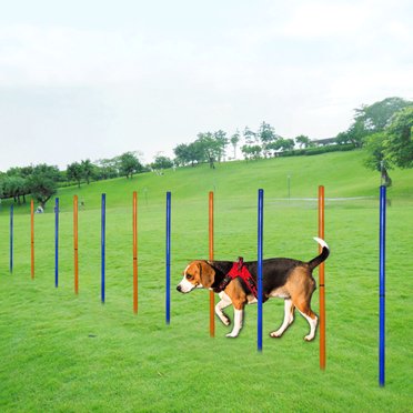 Octpeak Pet Dog Training, Dog Training Pole, Training Puppy Barrier Rod For Pet Dog