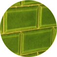 thumbnail image 1 of Ahgly Company Tapis d'Intérieur Lavables en Machine, Ronds, Transitionnels, Vert Pistache, Ronds de 5', 1 of 7