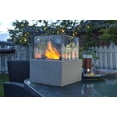 thumbnail image 5 of Combustible pour brûleur SmartFlame Paramount, 5 of 5