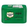 thumbnail image 1 of Canada Dry Zero Sugar Ginger Ale Cans, 222 mL, 6 Pack, 1 of 5