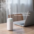 thumbnail image 2 of maskred Perfume Essential Oil Fragrance Expanding Instrument Immerse In Aromatherapy black 69*69*139mm 1Set, 2 of 6