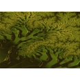 thumbnail image 1 of Ahgly Company Tapis d'Intérieur Rectangulaire Transitionnel Vert Olive Lavable à la Machine, 5 Pieds x 7 Pieds, 1 of 1