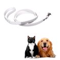 thumbnail image 4 of CBFFDC Cute Pet Leash Sparkling Design Dog Leash Hanging Hook Comfortable Artificial Leather Durable Pet Traction Rope, 4 of 6