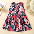thumbnail image 1 of LOVZFMLL Girls' Summer Sleeveless Printed Round-Neck Embroidery Mesh Princess Bow Skirt, 1 of 3
