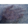 thumbnail image 5 of oneOone Cotton Silk Blue Fabric Texture Craft Projects Decor Fabric Printed By The Yard 42 Inch Wide, 5 of 5