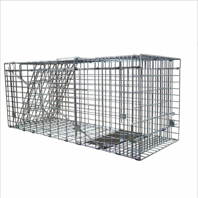INTBUYING Easy Set Animal Cage Mousetrap, a durable metal trap with dimensions of 31.6 x 11.2 x 13.2 inches, designed for humane pest control. Features a rear door for quick release and rust-resistant galvanized wire construction. Suitable for trapping animals like raccoons, squirrels, and stray cats. Ideal for home, farm, or garden use.