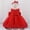 Red, variant on Baby Girls Dresses Pageant Baptism Lace Dress Bowknot Flower Wedding Christening Tutu Gown First Birthday Outfit