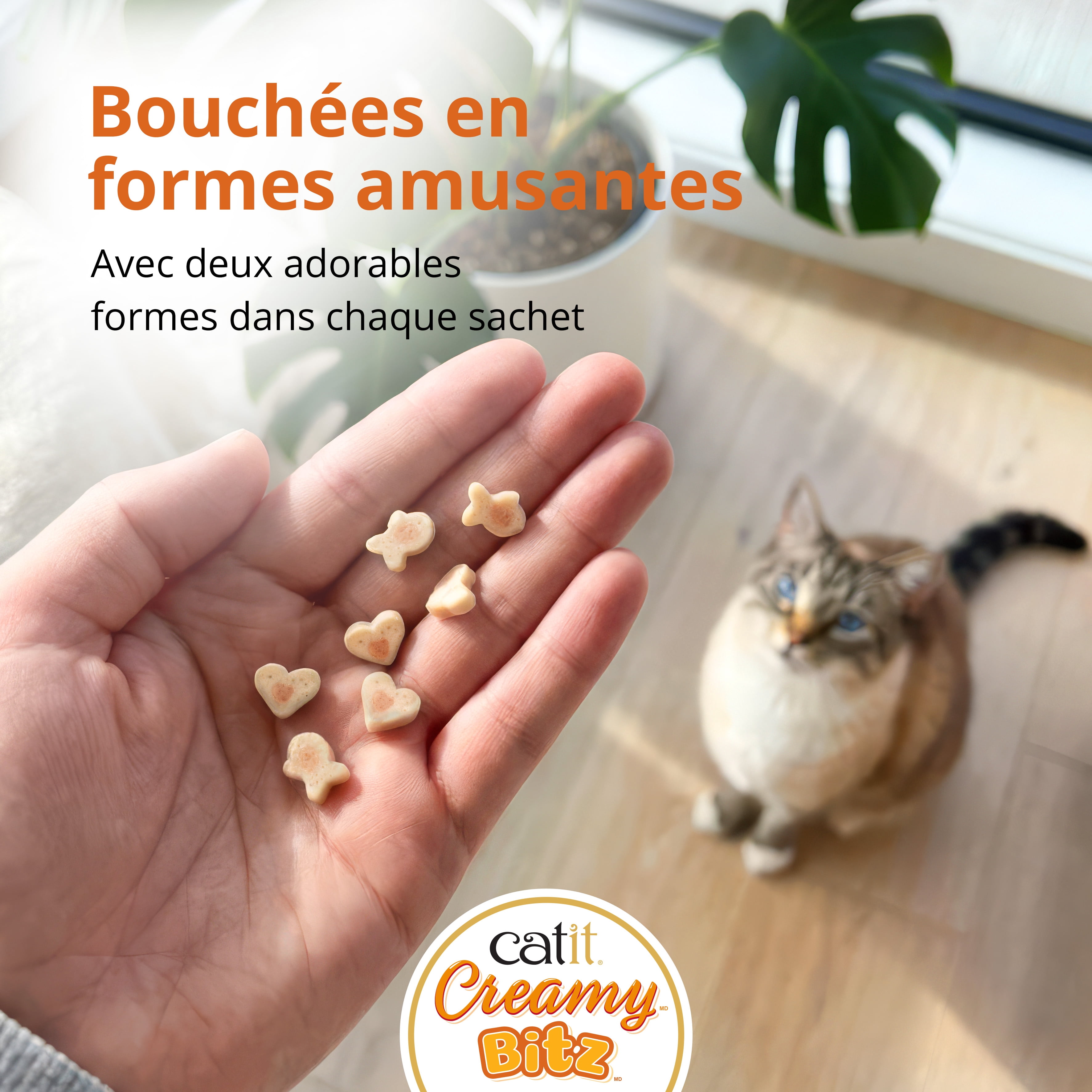 Gâteries pour chats Catit Creamy Bitz, recettes au poulet et canard, 48 G