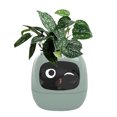 thumbnail image 3 of BotaniNest Smart Flowerpots Smart Pet Planter Ai Planter Intelligent Flowerpots Multiple Expressions Smart Sensors And Ai Chips Make Raising Easy And For Living Room 1pc, 3 of 3