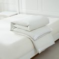 thumbnail image 3 of Twin Ducks Matterhorn Down Blanket, 3 of 5