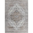thumbnail image 2 of Rug Branch Sakarya Collection Oriental Distressed Indoor Area Rug, 2 of 8