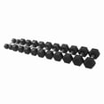 thumbnail image 4 of Inspire Fitness 95.2 kg (210 lb.) Dumbbell Set with Stand, 4 of 4