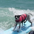 thumbnail image 1 of LSLJS Large Small Dog High Buoyancy Reflective Stripes Adjustable Life Jacket Swimsuit, Dog Birthday Party Supplies, Pet Clothes, 1 of 8