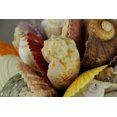 thumbnail image 3 of Figurine Boule Décorative Coquillages Mélangés 7.5 Pouces, 3 of 3