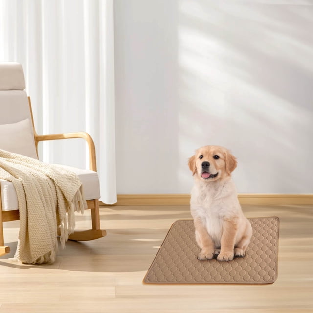 4 Pcs Thickened Pet Urine Pad for Deodorization Waterproof and Instant Water Absorption Washable Easy To Dry Reusable Pet Training Pee Pad for Floor, Sofa, Whelping, Training, Playpen Crate Clearance