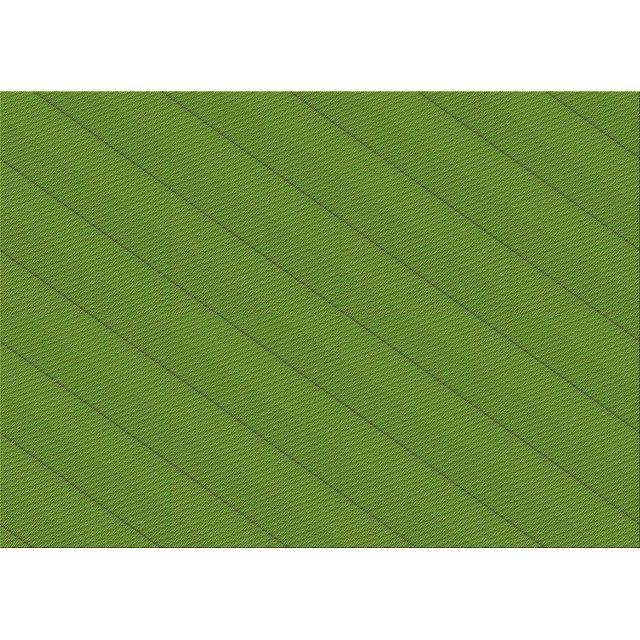 Ahgly Company Tapis d'Intérieur Lavables en Machine Rectangle Transitionnel d'Algues Vertes, 2' x 3'