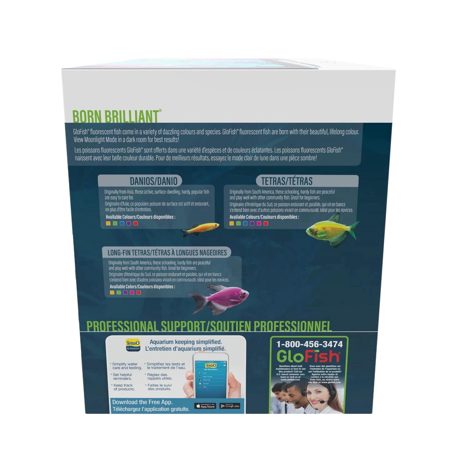 GloFish Kit d'aquarium parfait pour débutant