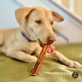 thumbnail image 4 of Bully Bunches Premium 6" Jumbo Bully Sticks Odour-Free 6 Pack, 4 of 10