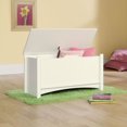 thumbnail image 2 of Sauder® Shoal Creek Collection Storage Chest, 2 of 4