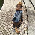 thumbnail image 3 of Dog Life Jacket, Cute  Dog Life Preserver Adjustable Pet Safety Vest with Rescue Handle for Swimming Boating Surfing Kayaking, 3 of 7