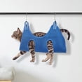 thumbnail image 3 of Dog Grooming Sling For Nail Trimming With Nail Clippers Pet Comb And Nail File Kit For Small Dogs And Cats 4 To 15 Lb, 3 of 6