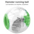 thumbnail image 1 of Balle d'Exercice Jouets d'Animaux Jouets Roulants en Plastique Perforé Accessoires de Jogging Course à Pied, Vert, 1 of 7