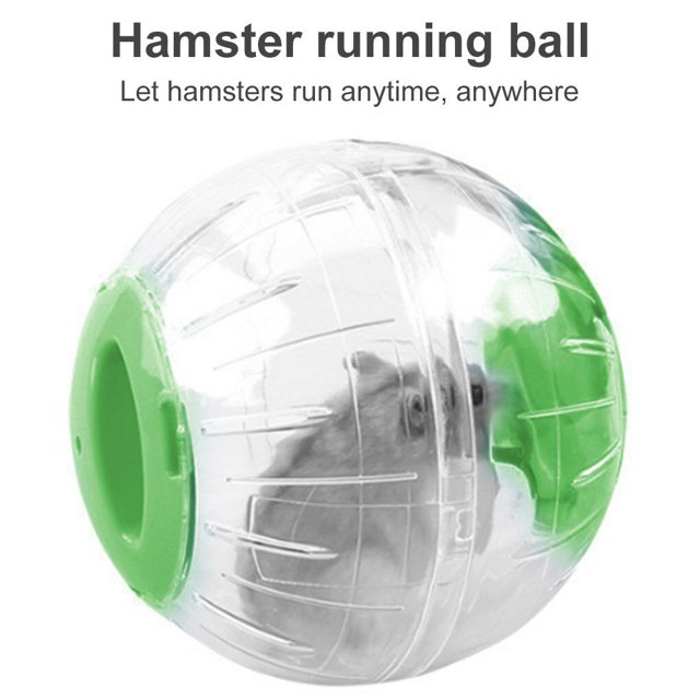 Balle d'Exercice Jouets d'Animaux Jouets Roulants en Plastique Perforé Accessoires de Jogging Course à Pied, Vert