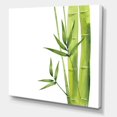 thumbnail image 3 of Designart Bamboo Branches In The Forest V Canvas Wall Art, 3 of 4