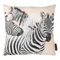 thumbnail image 1 of Gouchee Home SAFARI Coussin Zèbre, 1 of 2