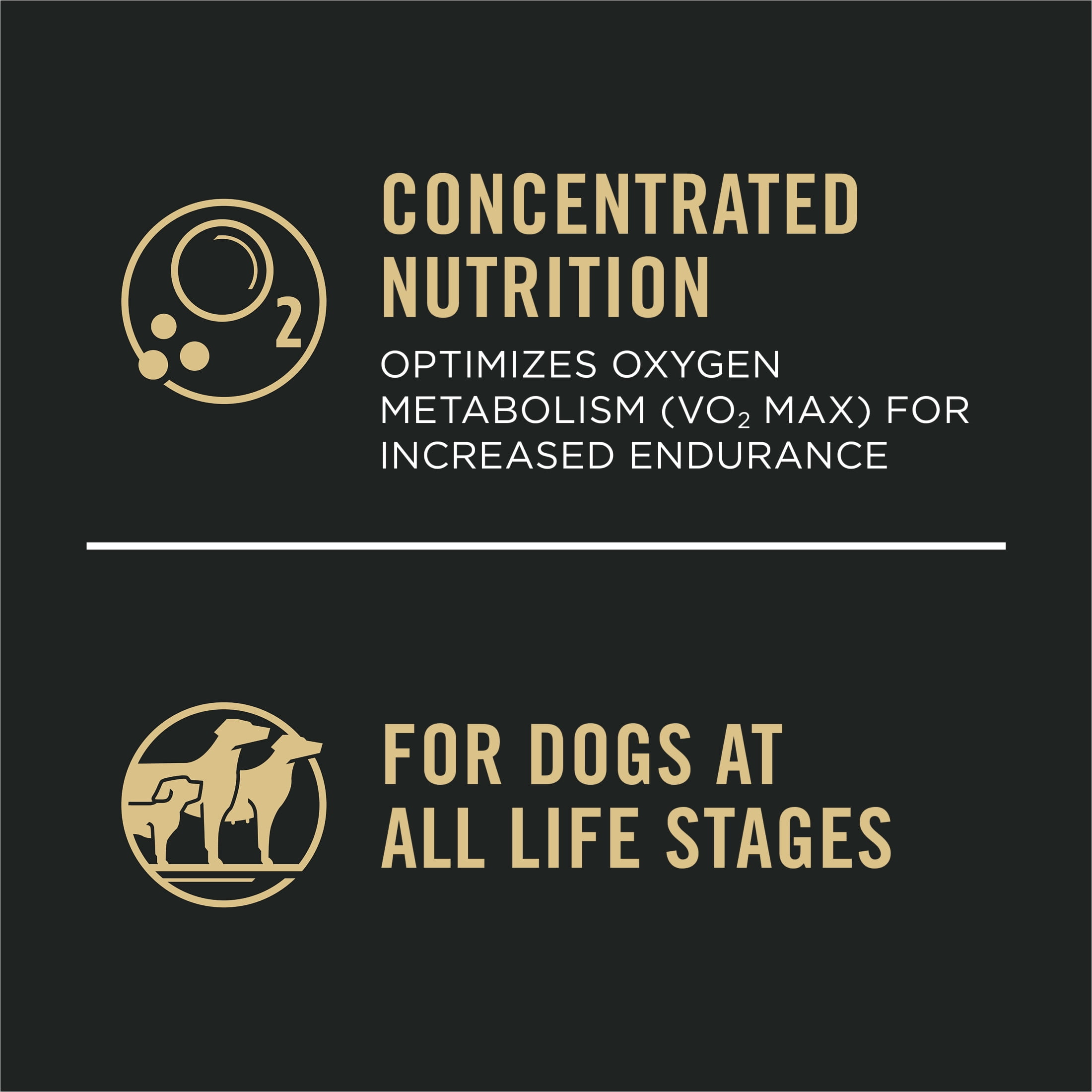 Purina Pro Plan Sport Performance 30 Formule Poulet et Riz, Nourriture Sèche pour Chiens 17 kg