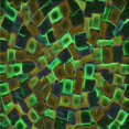 thumbnail image 1 of Ahgly Tapis d'Intérieur Lavable en Machine Carré Transitionnel Vert Lime Foncé, 5 Pieds Carré, 1 of 7