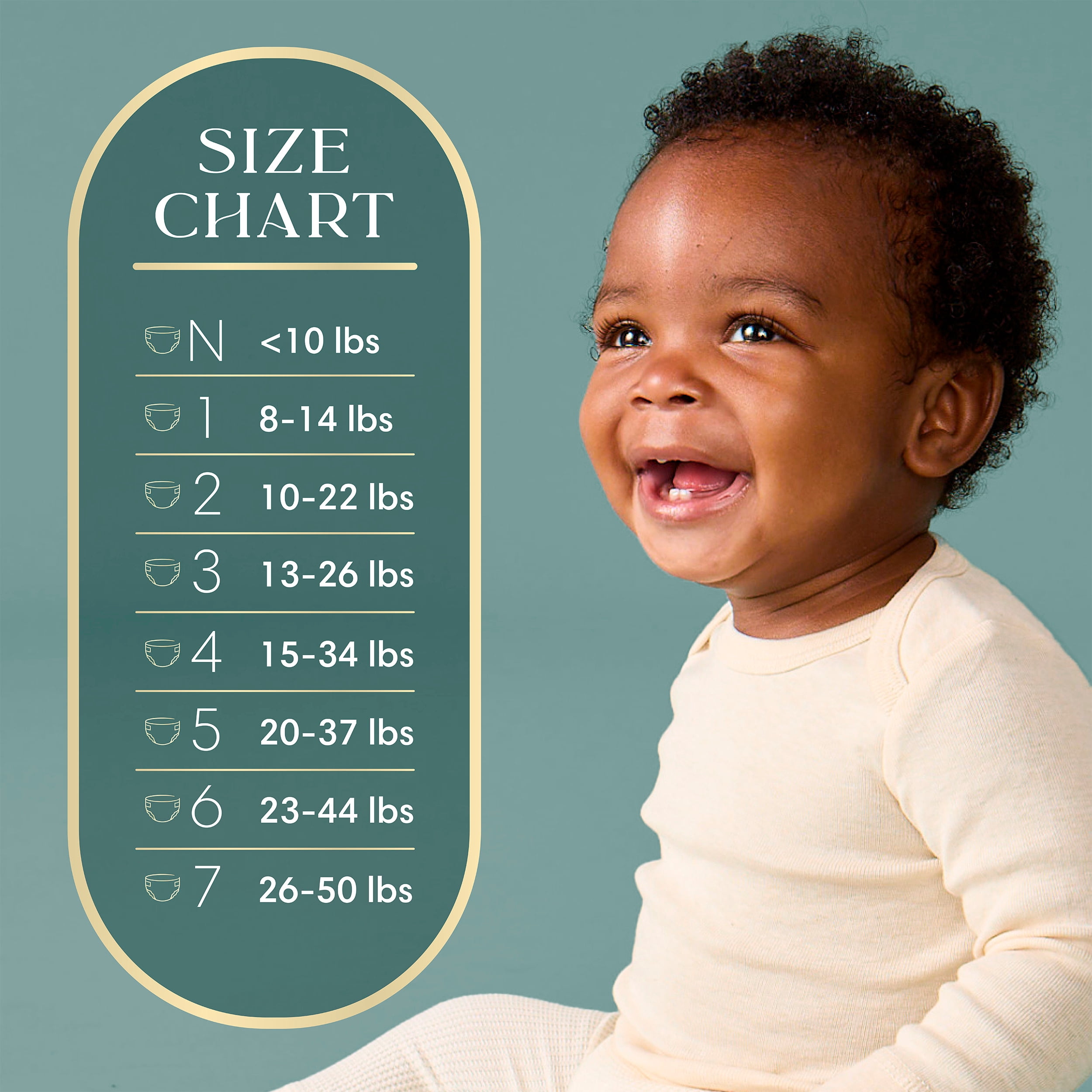 NOUVEAU Pampers AMORE, taille 2 (4,5 à 10 kg [10 à 22 lb]), notre meilleure couche, 186 unités