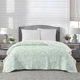 thumbnail image 1 of Mainstays Botanical Floral Stitched Quilt, King, Light Green, Reversible Lightweight Bedding, 1 of 4