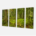 thumbnail image 2 of Lush Rainforest in Cathedral Grove - Landscape Canvas Art Print, 2 of 3