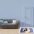 thumbnail image 2 of Tapis d'Intérieur Motif Dessin Animé 20x32 Pouces Imperméable Intérieur Extérieur, 2 of 8