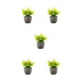 thumbnail image 1 of Decodeary Green Eco-friendly Artificial Money Tree In Pot Long-lasting Durability Realistic Appearance yellow rose 5Set, 1 of 6