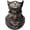 F, variant on Bker 3D Animal Print Breathable Full Face Neck Cover For Motorcycle Ski Cycling Outdoor Sports Unisex Liner