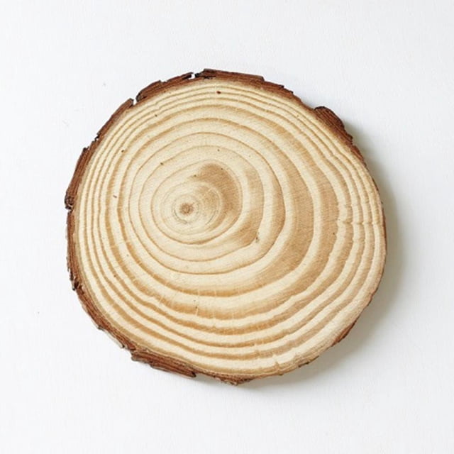 Unfinished Natural with Tree Bark Wood Slices 4 Pcs Disc Coasters Wood Coaster Pieces Craft Wood Kit Circles Christmas Ornaments DIY Crafts with Bark for Crafts Rustic Wedding