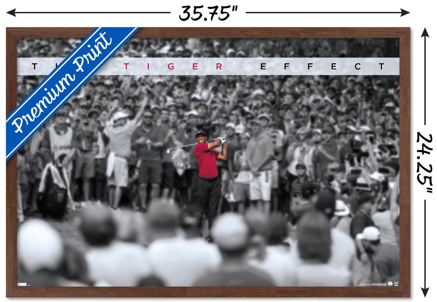 Tiger Woods - The Effect Wall Poster, 22.375" x 34"