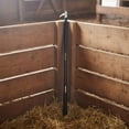thumbnail image 2 of Miller Manufacturing Company Hot Shot Adjustable Livestock Sho-Stik, Black, 2 of 4