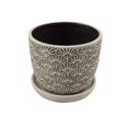 thumbnail image 1 of 6" BELLE FLOWER WHT, 1 of 1