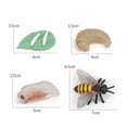 thumbnail image 4 of thinsony Figurines de Cycle de Vie Jouet Éducatif Réaliste pour Fêtes Abeille, 4 of 9