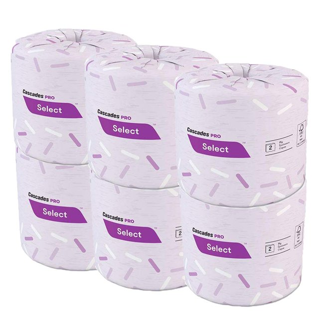 Bath Tissue Small Packs 2-Ply Toilet Paper, 500 Sheets/Roll Toilet Tissue, 6 ct